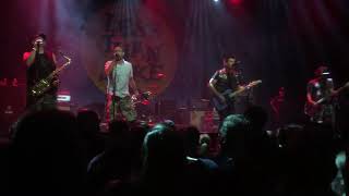 Less Than Jake - Gainesville Rock City [LIVE at Anti Fest, NL]