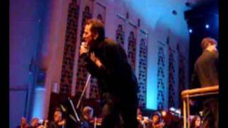 All That Glitters Is Not Gold