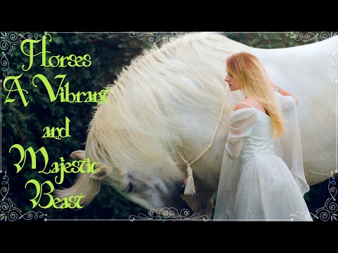 Horse : A Vibrant and Majestic Beast || Horse Music Video || Equestrian Music Video ||