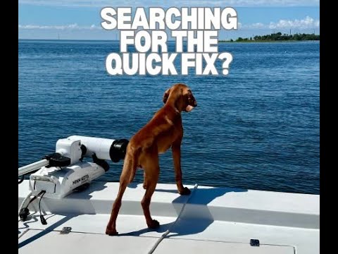 Looking for a quick way