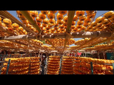 Dried Persimmon Processing