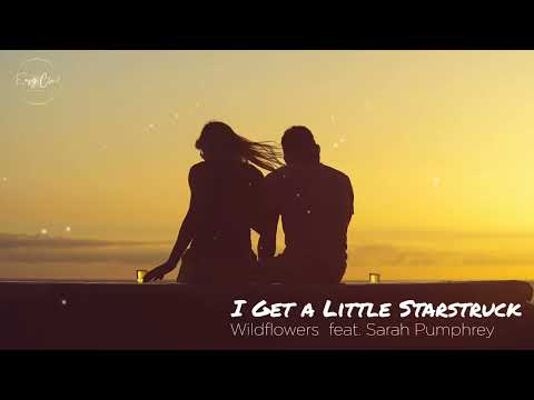 Wildflowers feat. Sarah Pumphrey - I Get a Little Starstruck
