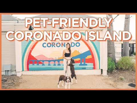 5 Pet-Friendly Things To Do On Coronado Island