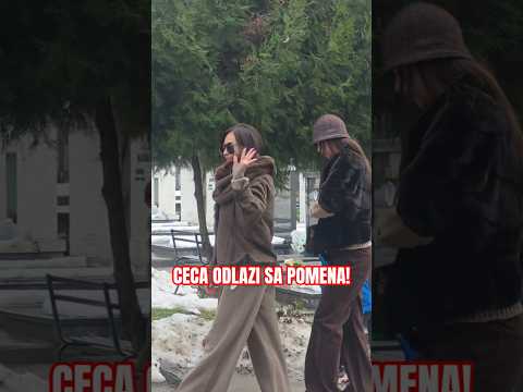 Ceca OVO URADILA BOGDANA GLEDA