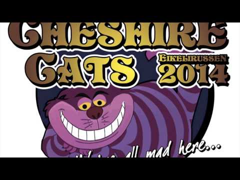 Cheshire Cats 2014 - GUTTA