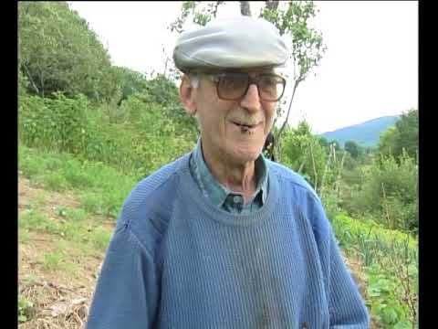 Las castanhas per apasturar lo bestial
