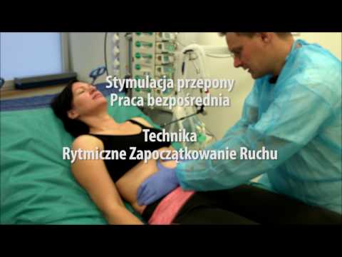 Selen i cynk kulturystyka Anatomia mięśni szyi artystów