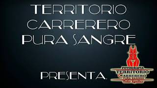 La dama grupo laberinto