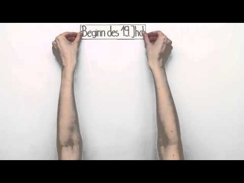 Evolutionstheorien im Überblick | Biologie | Evolution