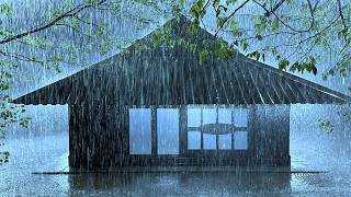 Overcoming Insomnia with Screaming Thunder & Heavy Rain on Faded Corrugated Iron Roof in Rainforest