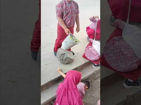 Thumbnail video Aksi pers laskar air