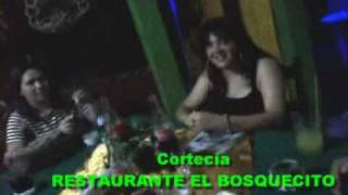 preview picture of video 'Lisbeth Guevara Restaurante el Bosquecito Camoapa Nicaragua'