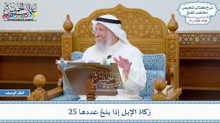 1826 - زكاة الإبل إذا بلغ عددها 25 - عثمان الخميس