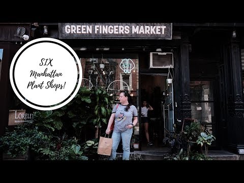 I visit SIX Plant Shops in Manhattan, NYC!