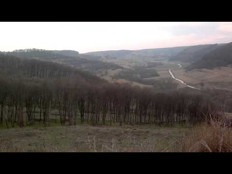 Defrisare zona Valchid.