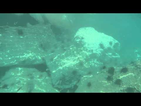 DSCN0921 Arik DiamantNB 3 12 1950