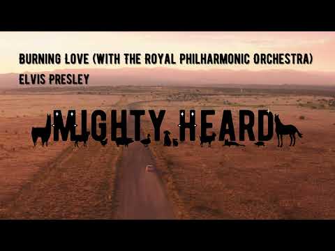 Elvis Presley - Burning Love (with The Royal Philharmonic Orchestra)