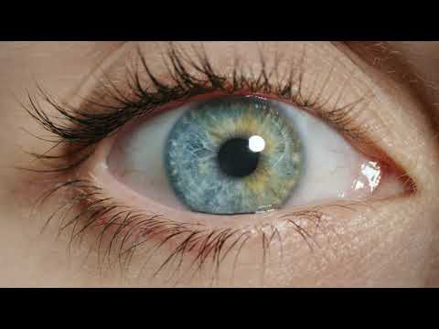 fvw und TravelTalk wachsen zusammen - die Bilanz von Klaus Hildebrandt