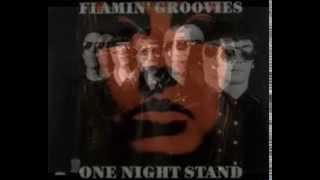 the flamin groovies live in stuttgart 1987 #02
