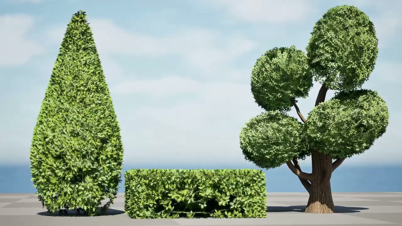 Juniper Bush 3D Model