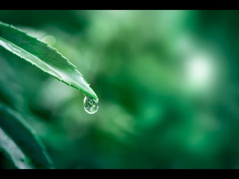 1 Hour of Rain Sound Relaxation / Ultimate Stress Relief, Deep Sleep, Meditation, Yoga,...