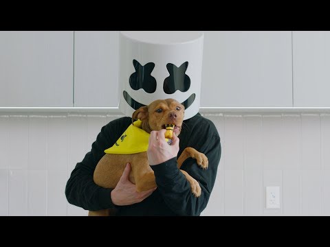 How To Make "Happier" Dog Treats | Cooking with Marshmello