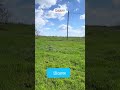 Видео превью