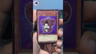 Des Koala #yugioh #yugiohcommunity #packopenning #tcg #packbattle #unboxing #yugiohcards #anime