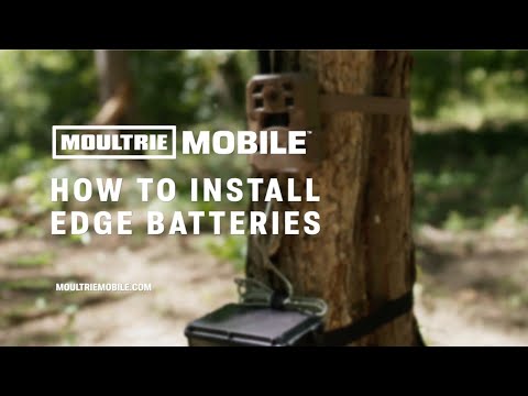 How to Install Batteries in the Moultrie Mobile Edge