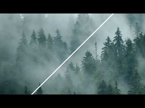 Lucefora - La Danza De Las Castañas