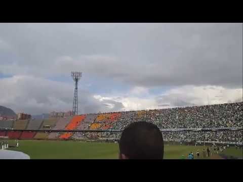 "Vamos todos juntos la hinchada y los jugadores" Barra: Los del Sur • Club: Atlético Nacional