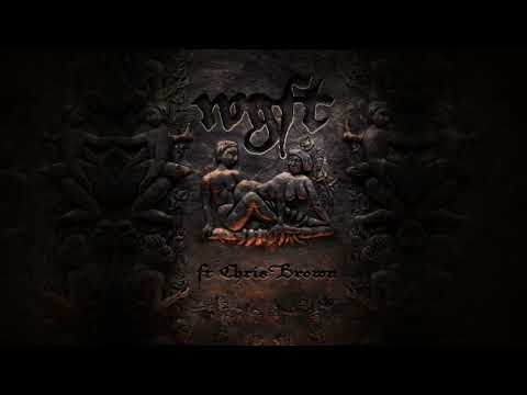 Gunna - wgft (feat. Chris Brown) [Remix] [Official Visualizer]