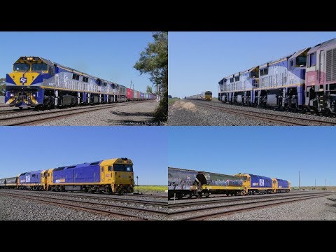 7922V SCT/SBR Container Train Crosses Pacific National Grain Train - PoathTV