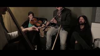 Bach en el Berln Jorge Pardo  Hippocampus