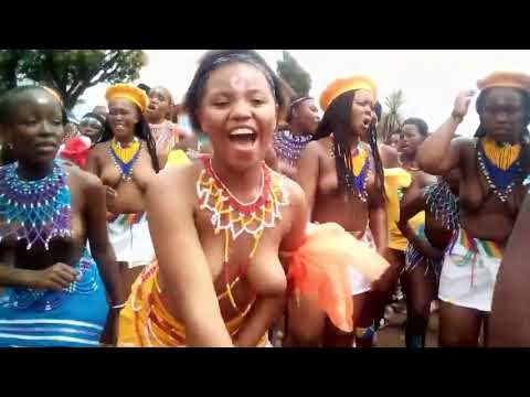 Zulu Culture Reed Dance - Reed Dance 
