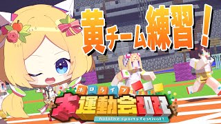 アキ・ローゼンタール - 【Minecraft】ホロライブ大運動会にむけて！黄&赤で合同練習する！！！！【アキロゼ視点】