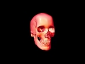 Phantom X Greg X Ray