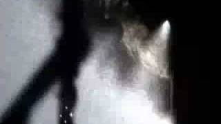 The Sword- The Freya {Official Video}