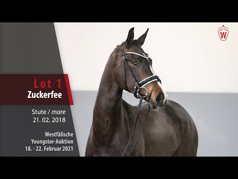 Youngster Auktion 18. - 22. Februar 2021 Lot 1 Zuckerfee Stute v. Zoom -   Fiorano