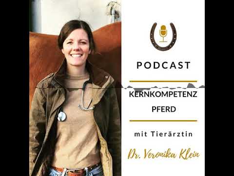 Überbeine beim Pferd - Kernkompetenz Pferd - Pferdegesundheit mit Tierärztin Dr. Veronika Klein