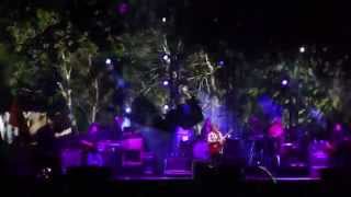 Widespread Panic - Arleen (aka Arlene), Wanee Festival, Live Oak, FL  4/18/2015