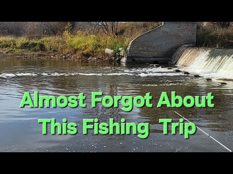 Almost Forgot About This Fishing Trip.