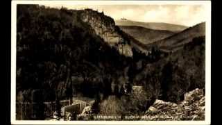 preview picture of video 'Ilsenburg Harz ca, 1914 oder noch Älter'