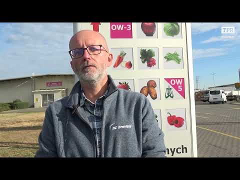 Śliwki w tym roku są wyjątkowo tanie! Jaką jest cena śliwek na Broniszach?