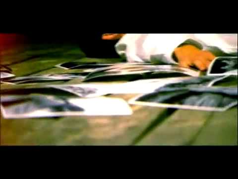 igor terzija   ko bi rekao