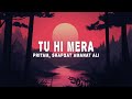Pritam Shafqat Amanat Ali Tu Hi Mera Lyrics