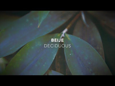 Beije - Deciduous [Official Video]