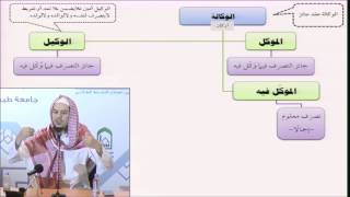 صورة فقه المعاملات 34 - التأهيل الفقهي (الوكالة) عامر بهجت