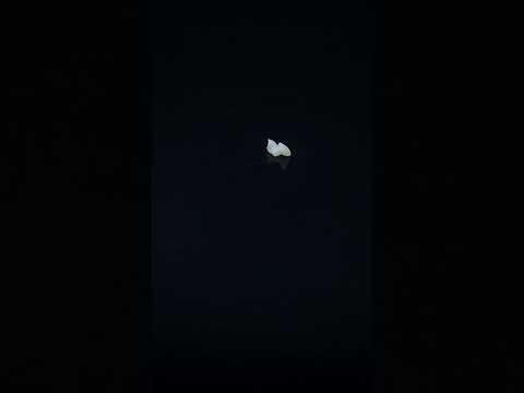 YouTube 썸네일