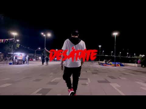 ROY ROY - DESATATE! | RECKLESS! [Visualizer]